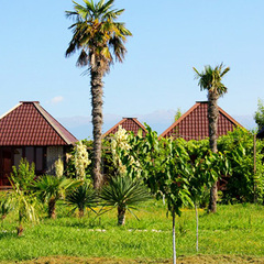 База отдыха Бамбора, Гудаута