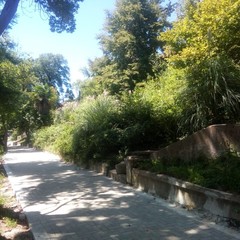 Гостевой дом Апра, Гудаута