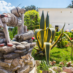 Гостиница Белые скалы, Гагра