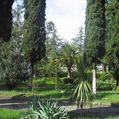 Парк-отель Эра, Гагра