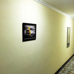 Гостиница Белые скалы, Гагра