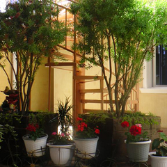 Гостевой дом Апра, Гудаута