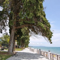 Отель Анакопия клаб, Гагра