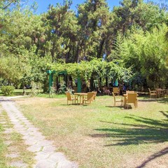 Отель Апсара / Apsara, Пицунда