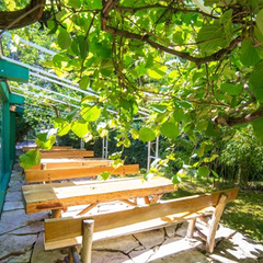 Отель Апсара / Apsara, Пицунда