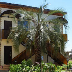 База отдыха Апсны, Гудаута