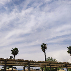 База отдыха Апсны, Гудаута