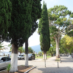 Гостиница Арстаа, Гагра