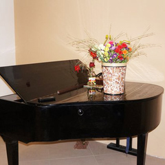 База отдыха Апсны, Гудаута