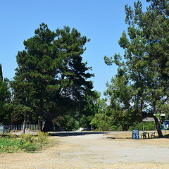 Гостевой дом Амина Бич, Цандрипш, Гагра