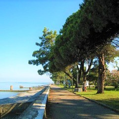 Санаторно-курортный комплекс Жемчужина, Гагра