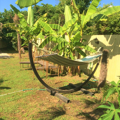 Отель Оазис, Гагра