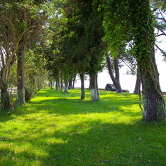 Санаторно-курортный комплекс Жемчужина, Гагра