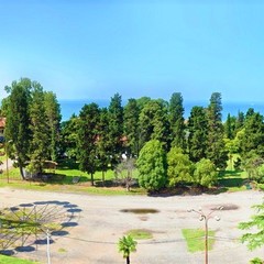 Санаторно-курортный комплекс Жемчужина, Гагра