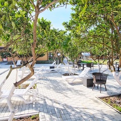 Гостиница Папа, Гагра