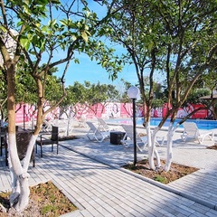 Гостиница Папа, Гагра