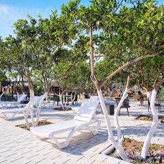 Гостиница Папа, Гагра