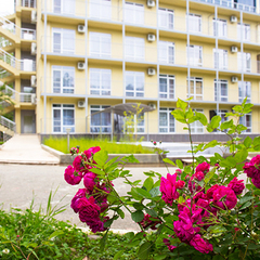 Отель Велнес Парк Отель Гагра / Wellness Park Hotel Gagra, Гагра