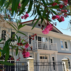 Отель Maxx отель, Гудаута