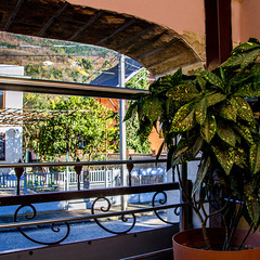 Отель Илиос, Гагра