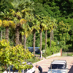 Отель Джанат, Сухум