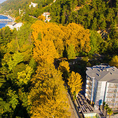Отель Санрайз Гарден / Sunrise Garden Hotel, Гагра