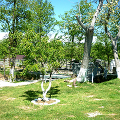 Отель Пшандра / Pshandra Hotel, Гудаута