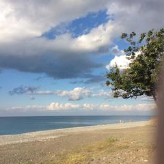 Отель Берег эвкалиптов, Гагра