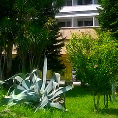 Отель Страна Души, Сухум