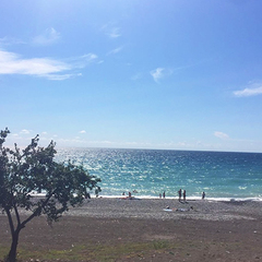 Отель Берег эвкалиптов, Гагра