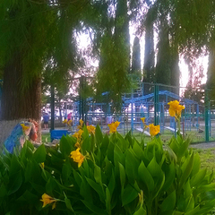 Отель Страна Души, Сухум