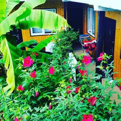 Гостевой дом Шале у моря, Гагра