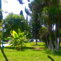 Отель Страна Души, Сухум