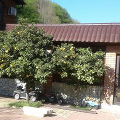 Отель Джанат, Сухум