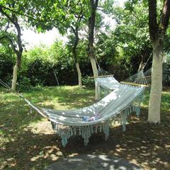 Гостевой дом Шале у моря, Гагра