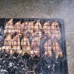 Гостевой дом Шале у моря, Гагра