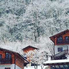 Отель Грас / Grass Hotel, Гагра