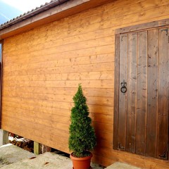 Отель Грас / Grass Hotel, Гагра