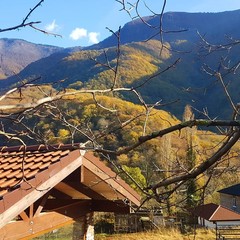 Отель Грас / Grass Hotel, Гагра