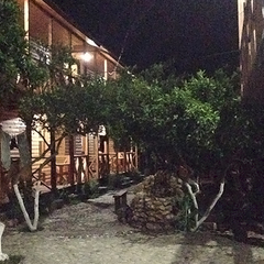 Гостевой дом Алекса (бывш. У Александры), Пицунда