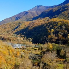 Отель Грас / Grass Hotel, Гагра