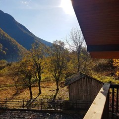 Отель Грас / Grass Hotel, Гагра