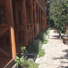 Гостевой дом Алекса (бывш. У Александры), Пицунда