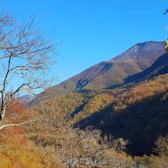 Отель Грас / Grass Hotel, Гагра