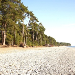 Гостиница  Санта-София / Santa-Sofia Hotel, Пицунда