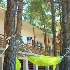 Гостиница  Санта-София / Santa-Sofia Hotel, Пицунда