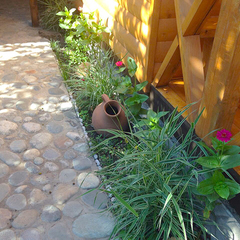 Гостевой дом Алекса (бывш. У Александры), Пицунда