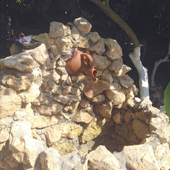 Гостевой дом Алекса (бывш. У Александры), Пицунда