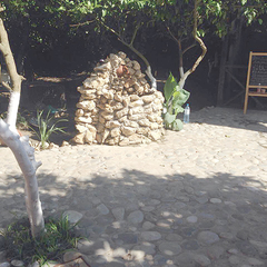 Гостевой дом Алекса (бывш. У Александры), Пицунда