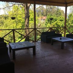 Гостевой дом Алекса (бывш. У Александры), Пицунда